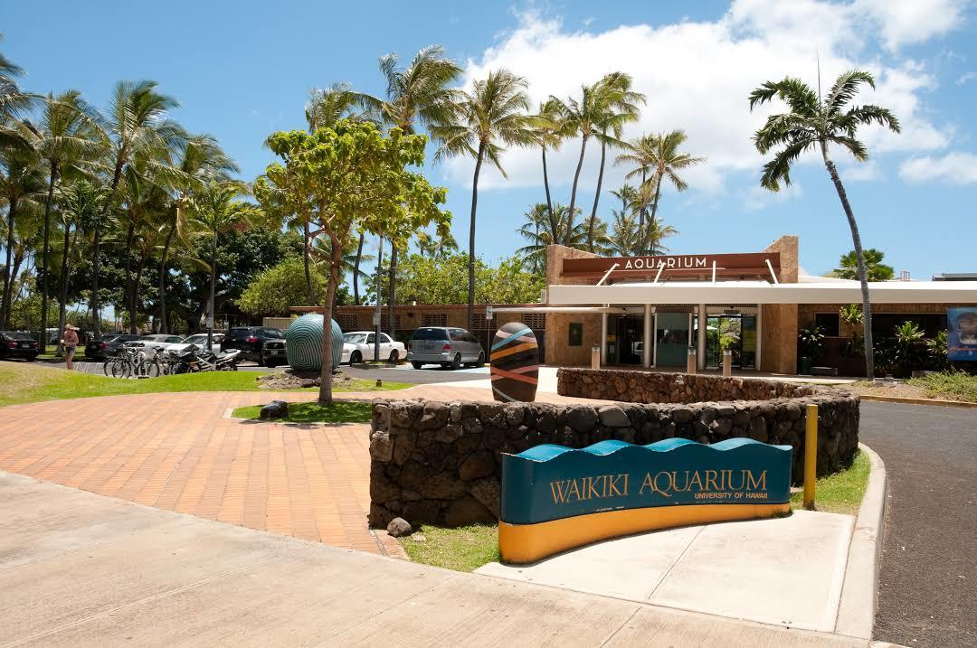 Aquarium Waikiki